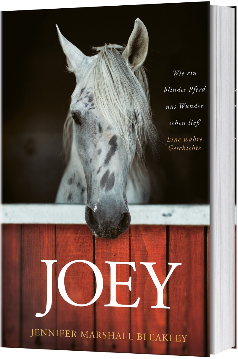 Joey - Wie ein blindes Pferd uns Wunder sehen ließ Book Cover